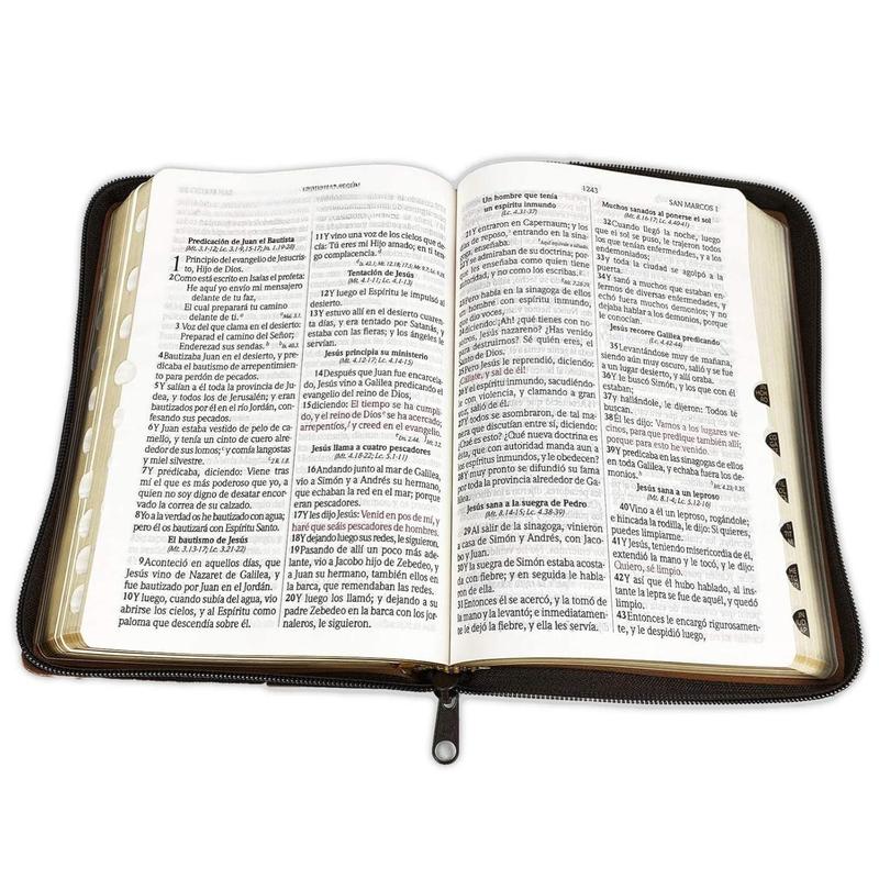Biblia Letra Grande Reina Valera 1960