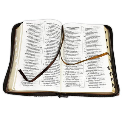 Biblia Letra Grande Reina Valera 1960