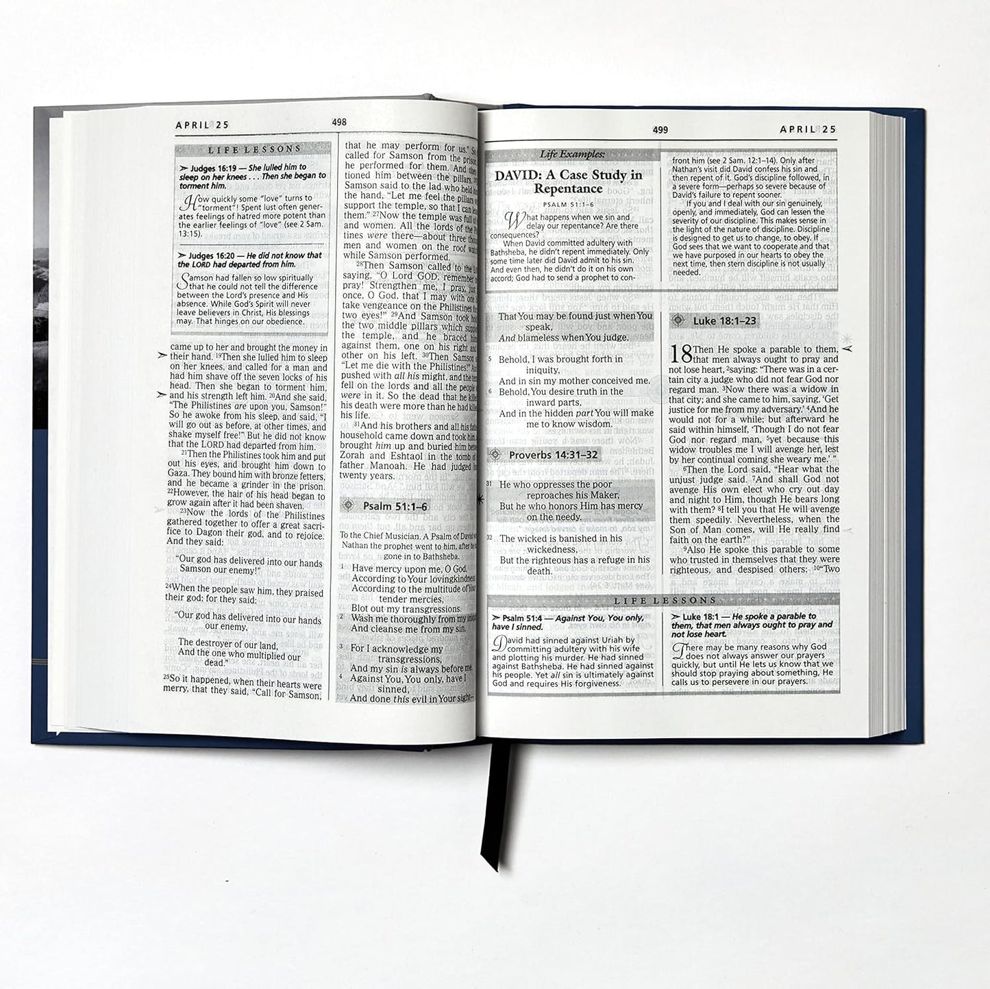 Life Principles Daily Bible